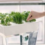 iGarden и AquaFarm скрасят быт