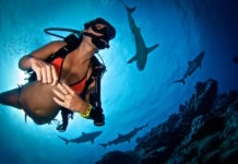 Виды снаряжения для дайвинга