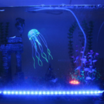 Блоки питания 5 Вольт: они понадобятся для монтажа светодиодной ленты, используемой в интерьерной и коммерческой подсветке