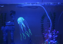 Блоки питания 5 Вольт: они понадобятся для монтажа светодиодной ленты, используемой в интерьерной и коммерческой подсветке