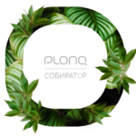 Plonq и «Собиратор» начнут перерабатывать использованные одноразовые электронные сигареты