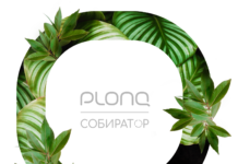 Plonq и «Собиратор» начнут перерабатывать использованные одноразовые электронные сигареты