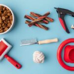 Товары для животных: забота и комфорт для ваших питомцев