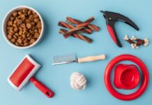 Товары для животных: забота и комфорт для ваших питомцев