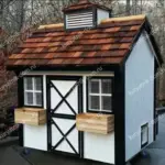 Курятник: как правильно устроить и ухаживать за курами