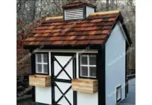 Курятник: как правильно устроить и ухаживать за курами